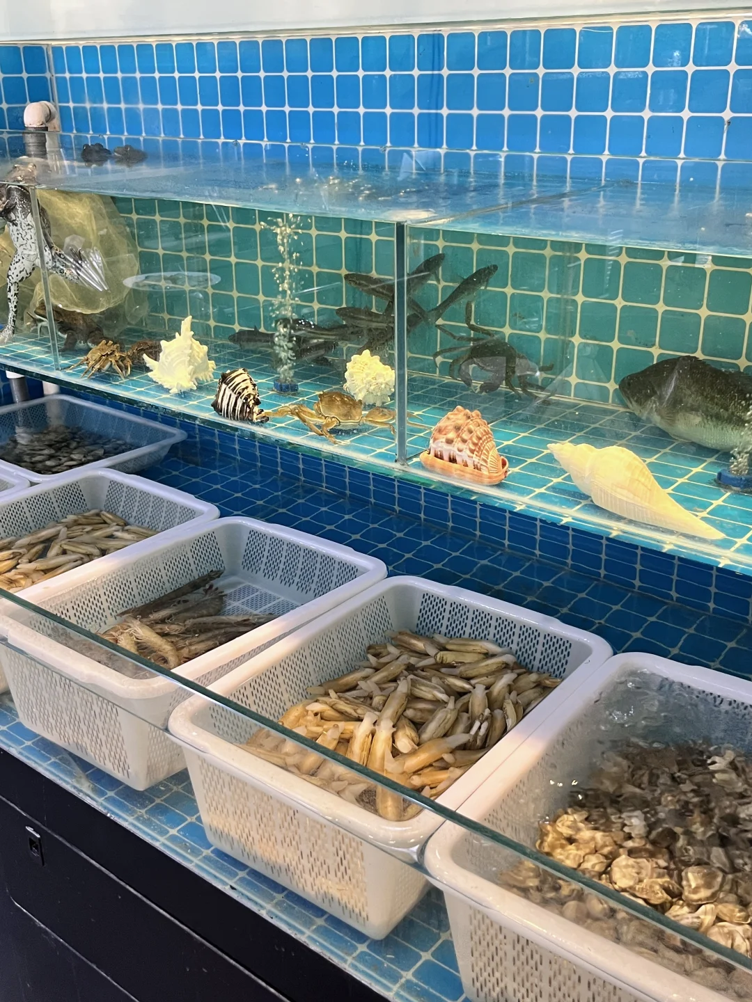 安阳平价海鲜界的top0️⃣！海肠捞饭绝了！