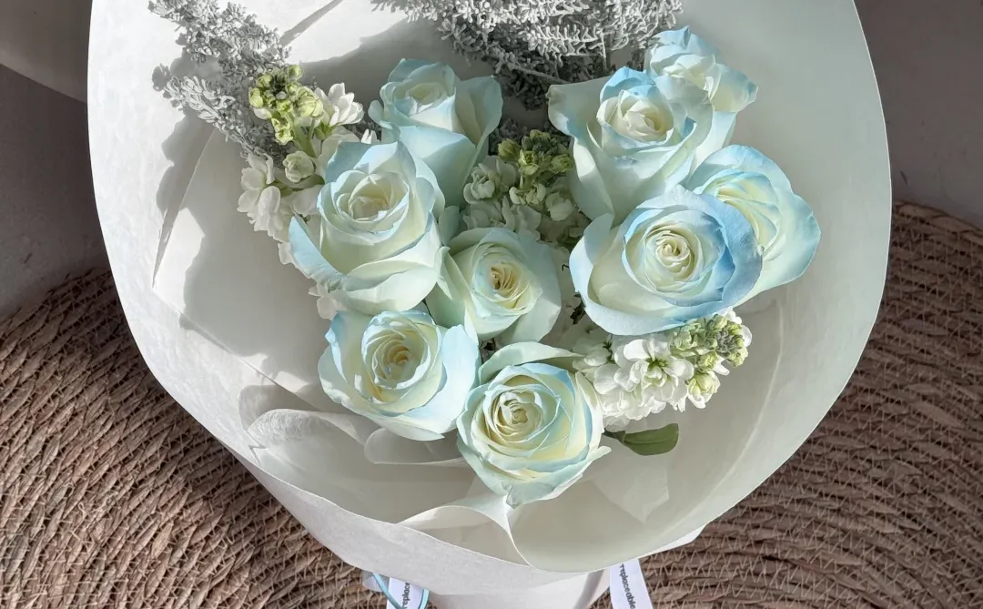 安阳花店｜考研 两位数福利款 🉐