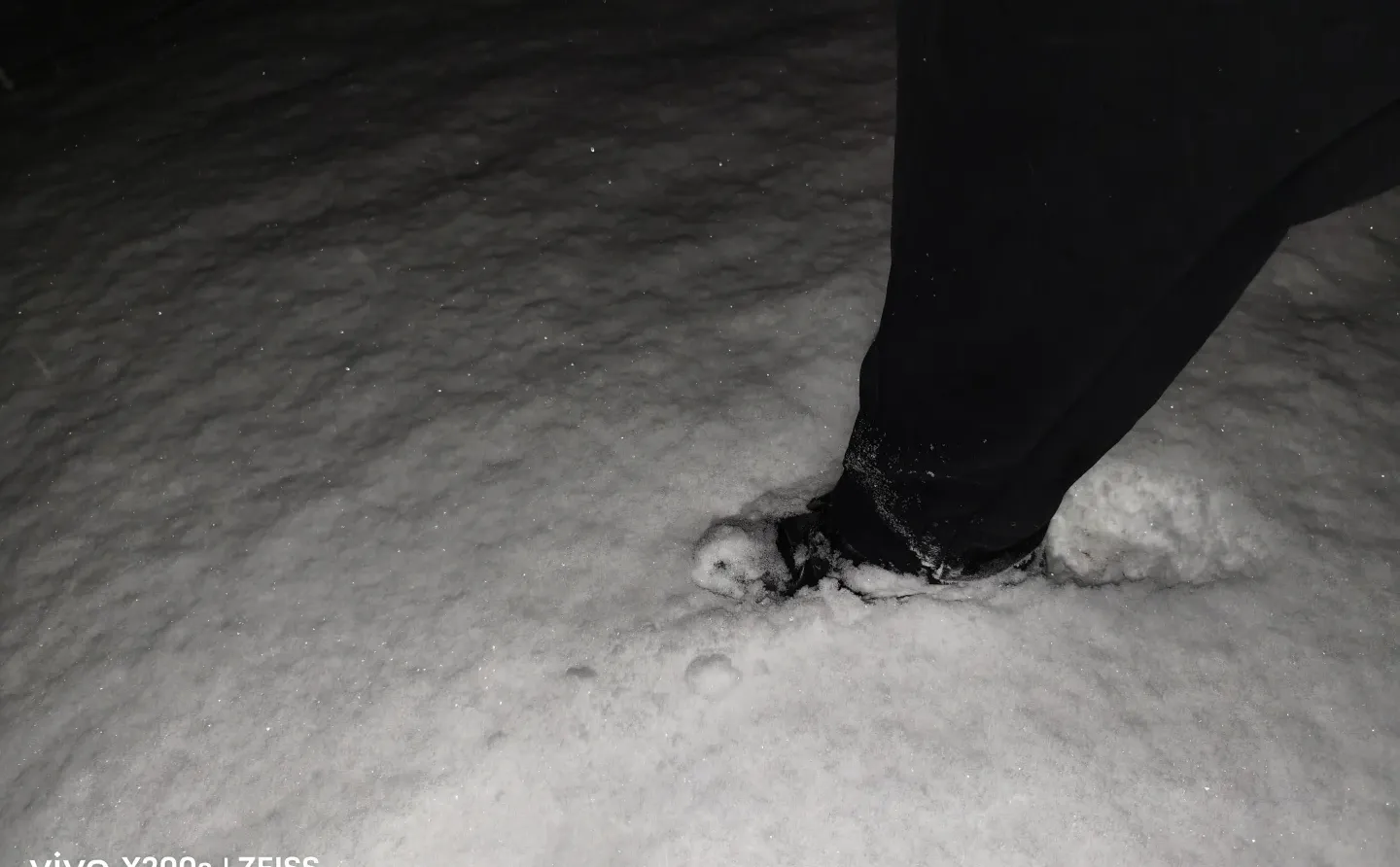 安阳 你居然下这么大雪
