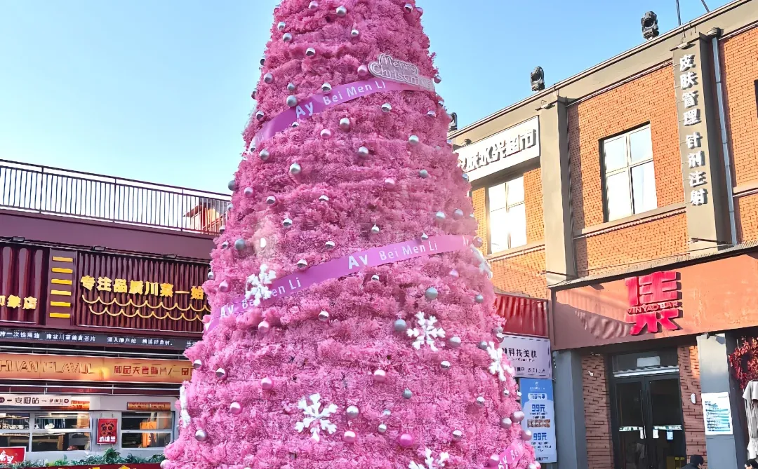 熊 在安阳过圣诞🎄