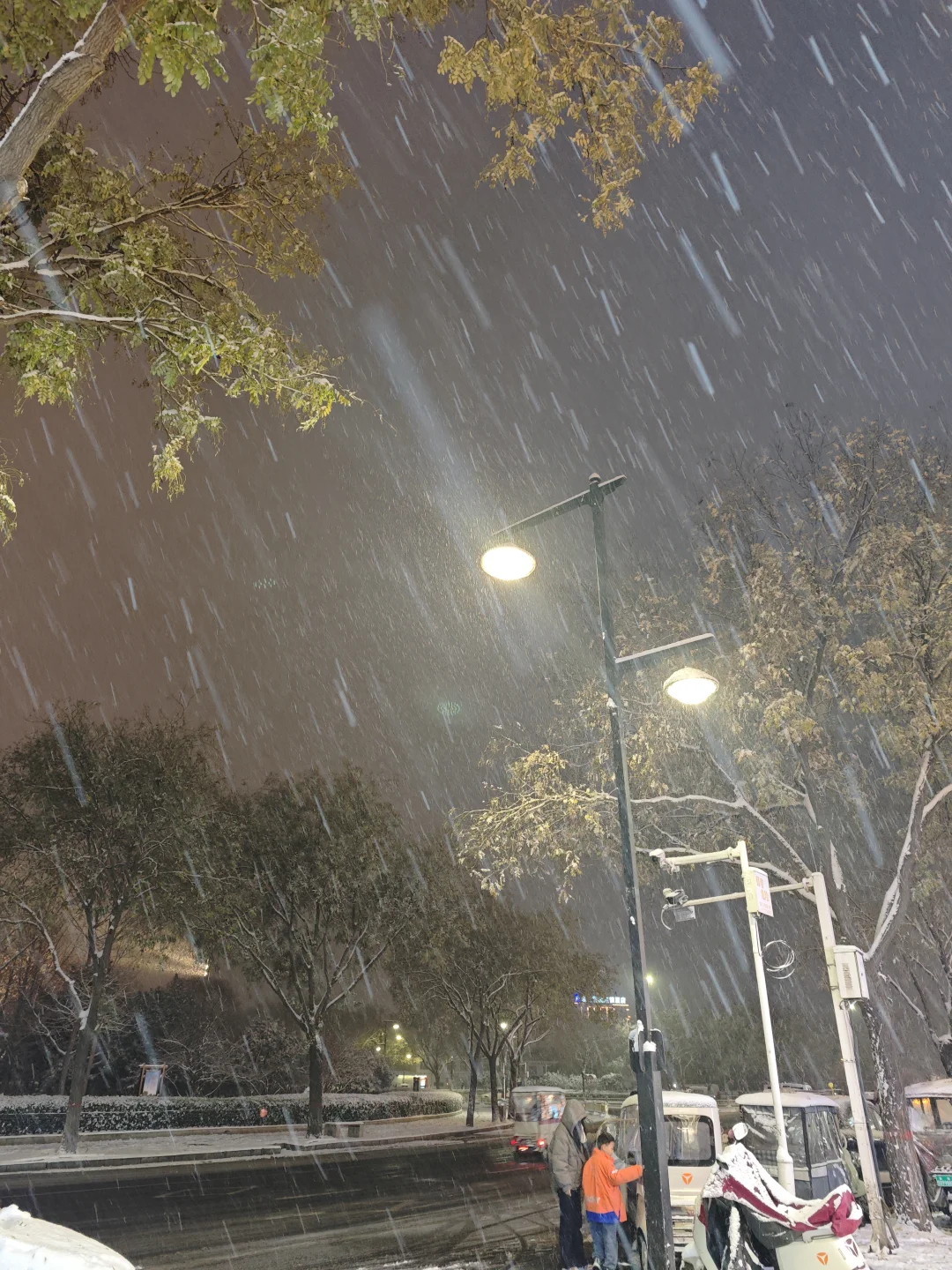 看看你拍的初雪