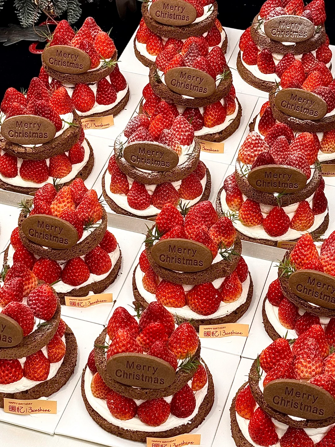 在安阳｜圣诞季🎄提前预定有优惠哦~