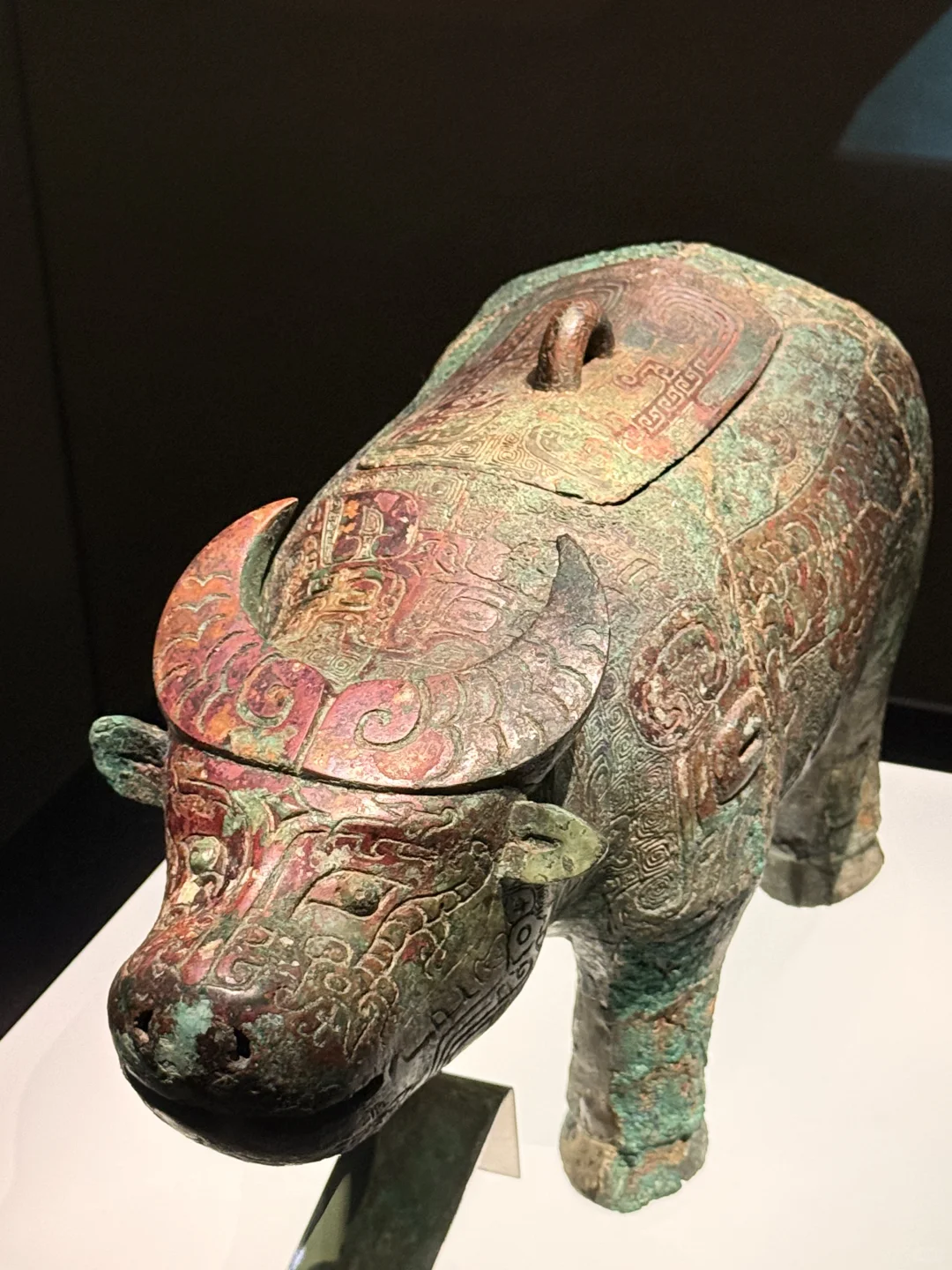 🏇狠人周末特种兵之河南安阳