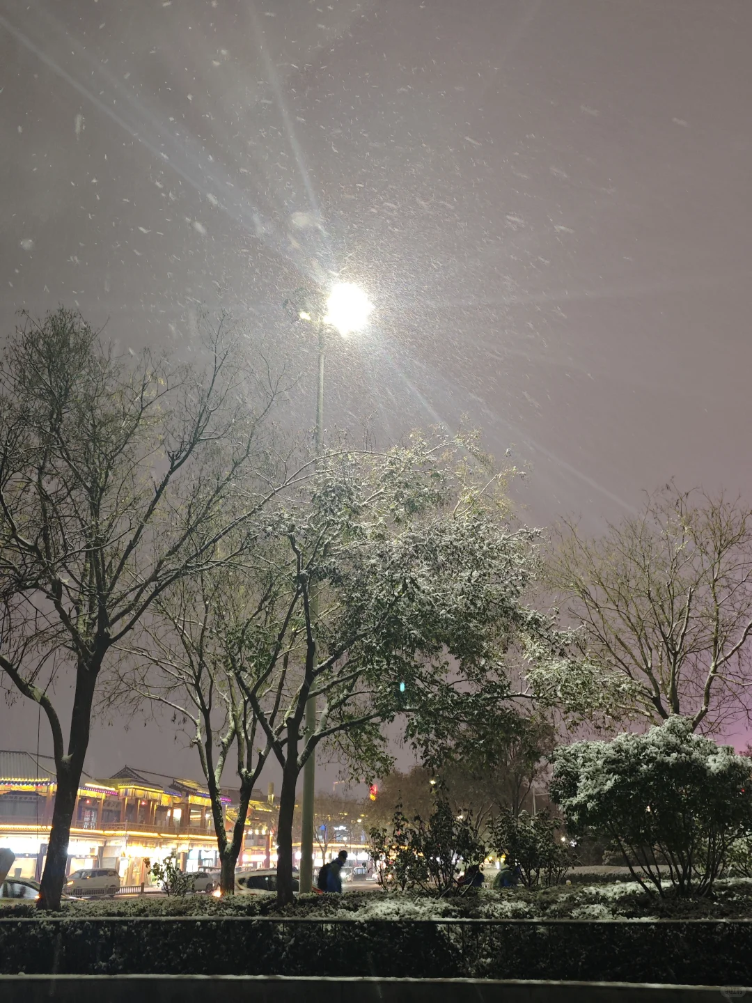 看看你拍的初雪