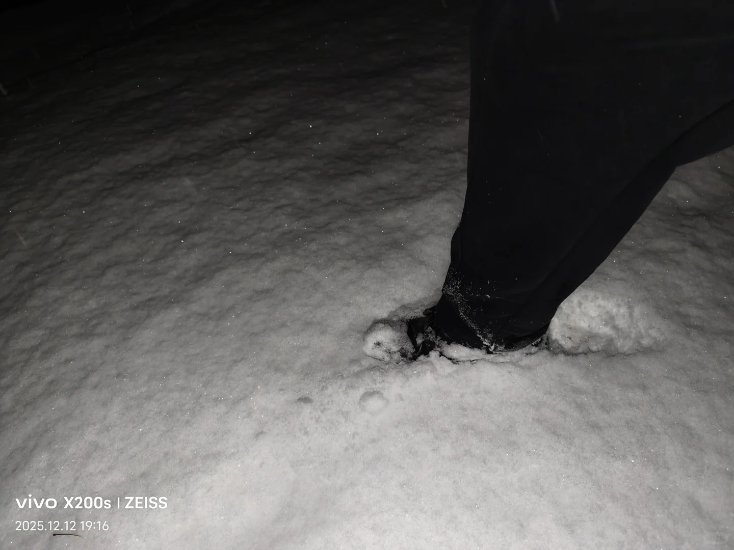 安阳 你居然下这么大雪