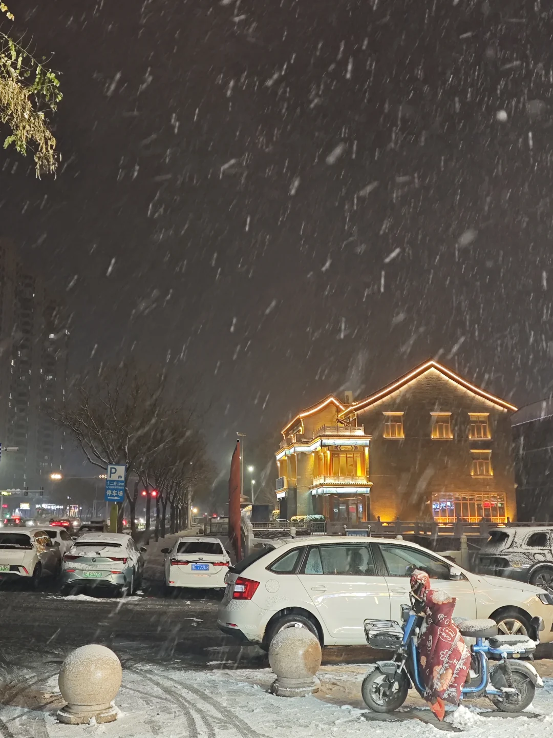 看看你拍的初雪