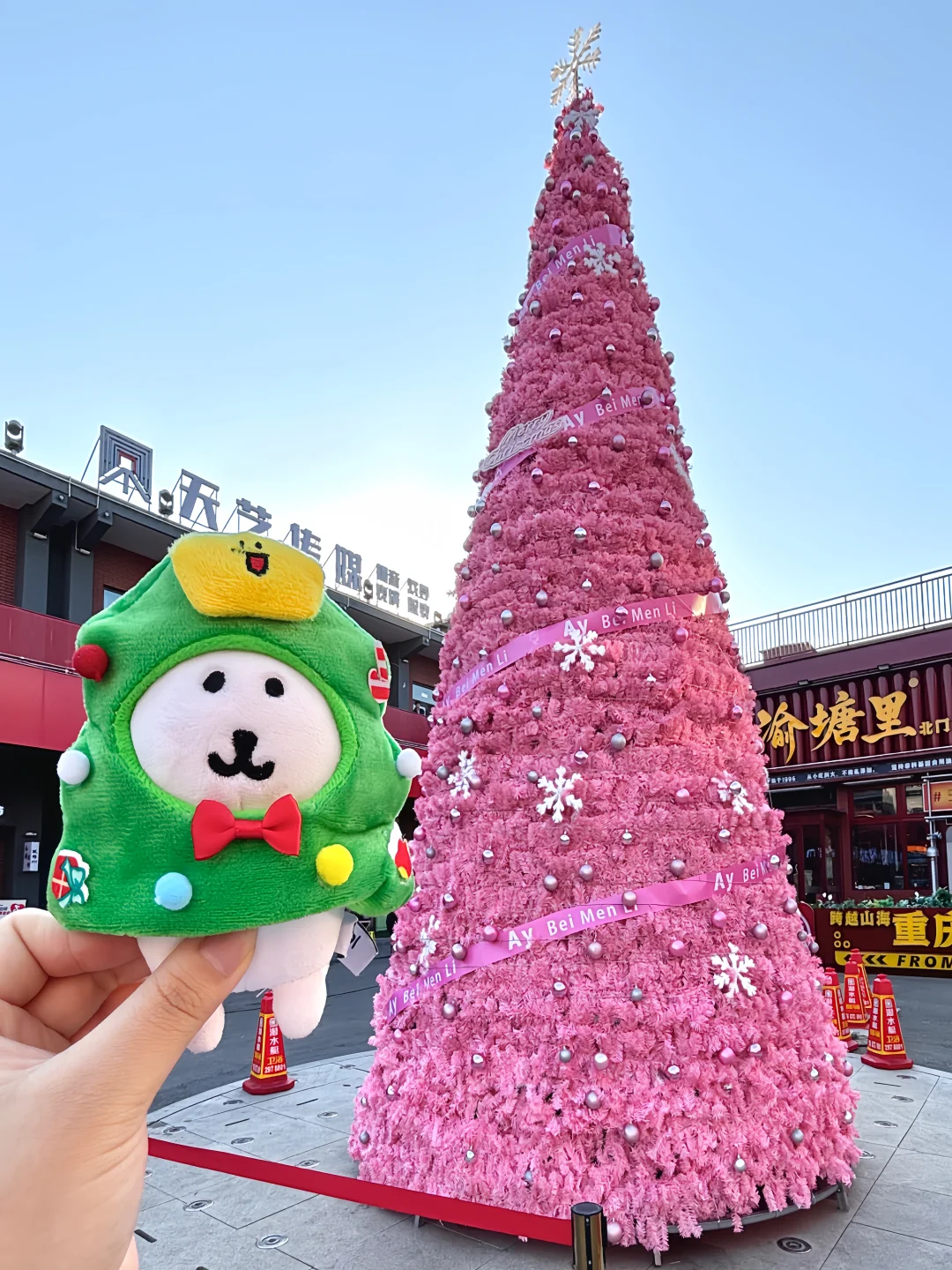 熊 在安阳过圣诞🎄