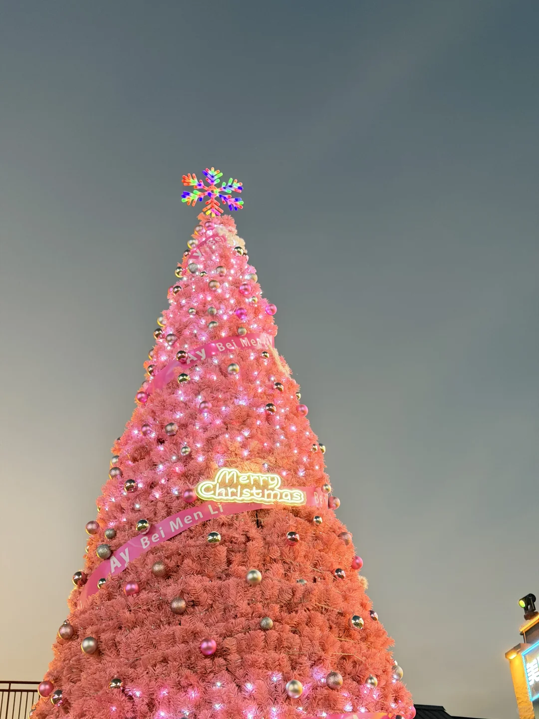 在安阳看到了粉色圣诞树耶💗💗