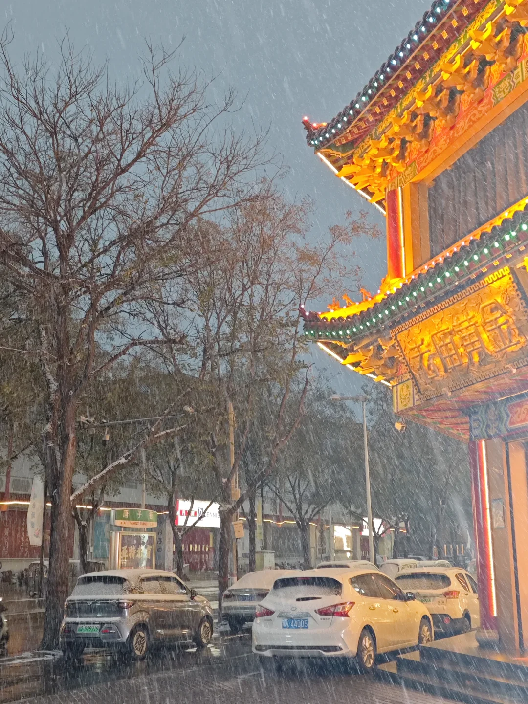 看看你拍的初雪