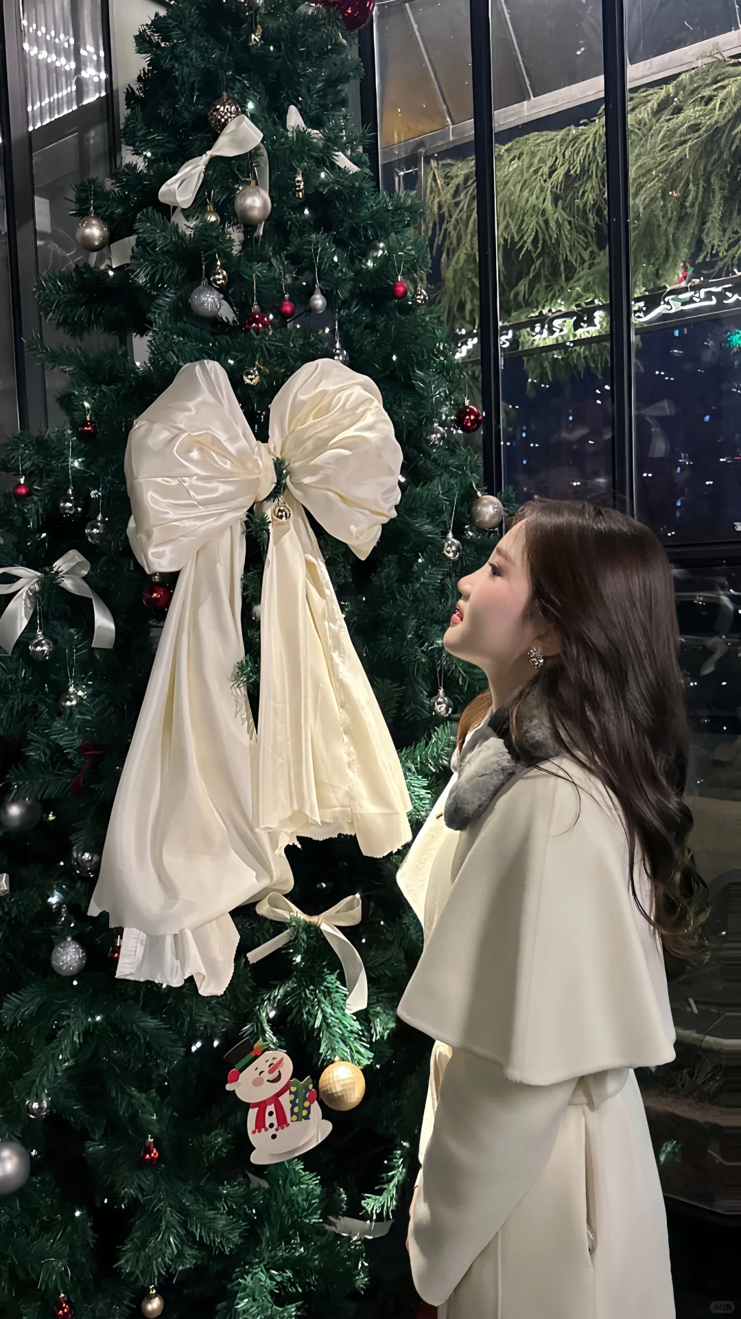 在安阳的圣诞月.꙳🎄•❅⋆