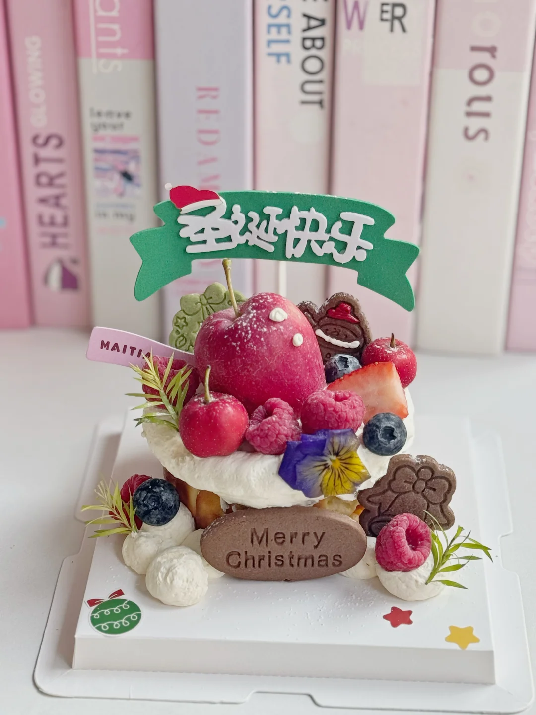 安阳，可爱的圣诞巴斯克