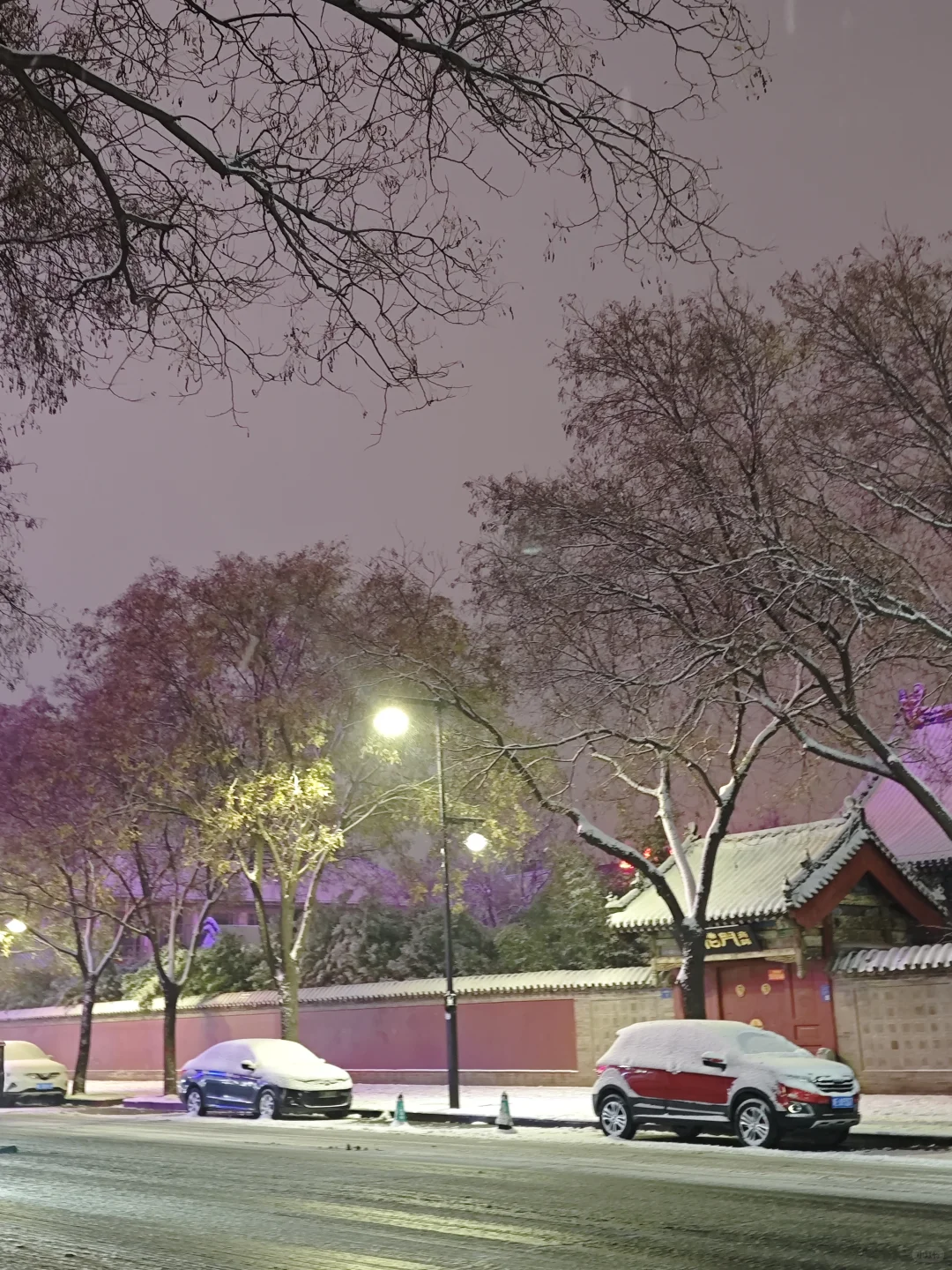 看看你拍的初雪