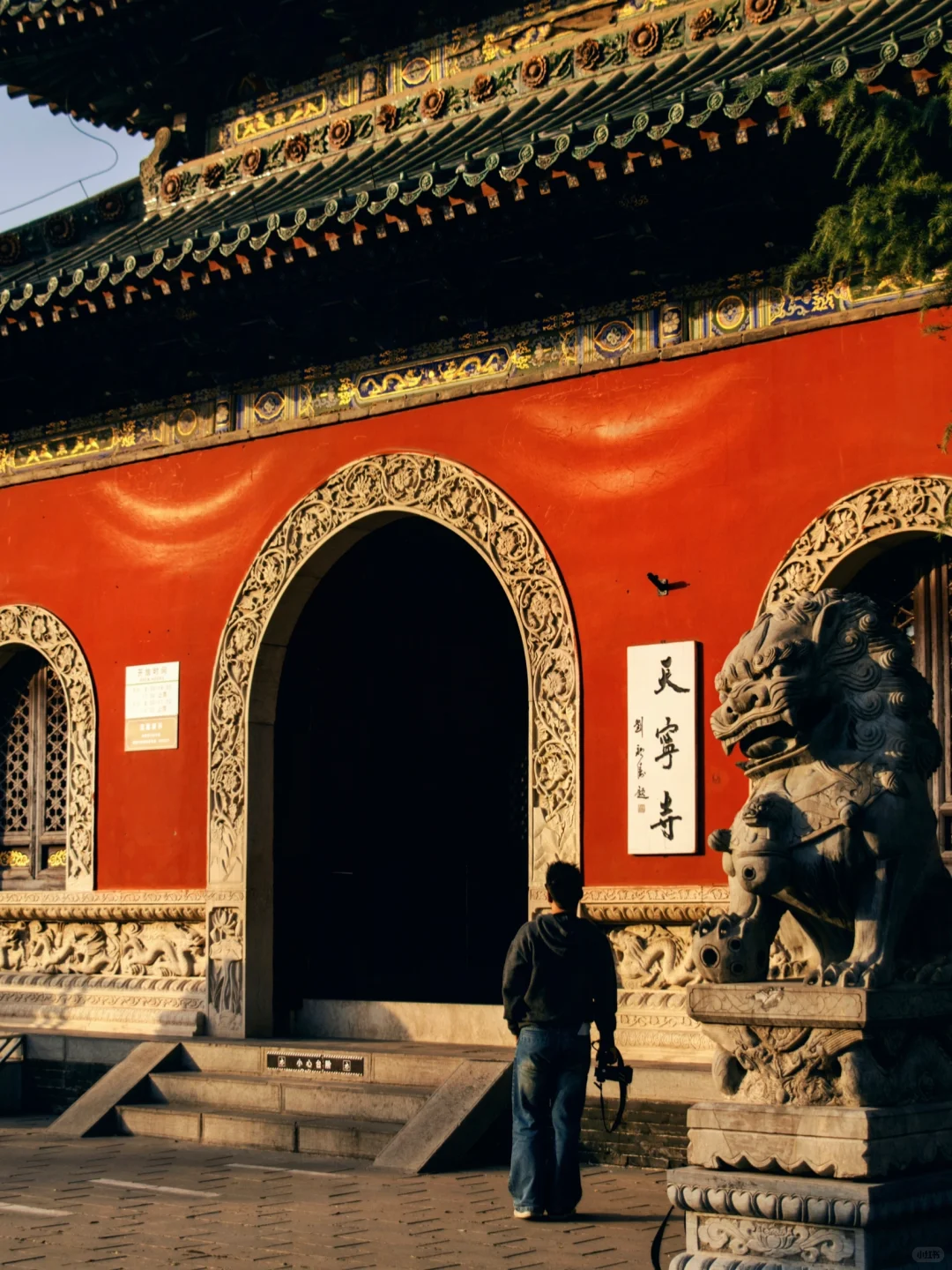 安阳，用甲骨刻写“中国”，却被岁月遗忘的古都