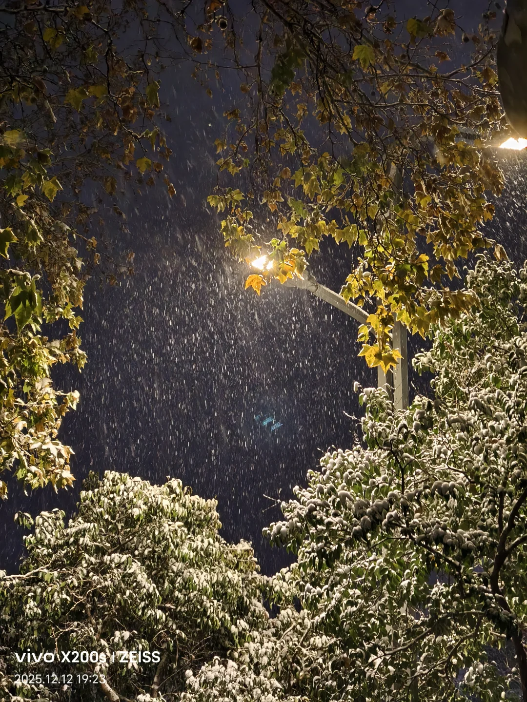 安阳 你居然下这么大雪