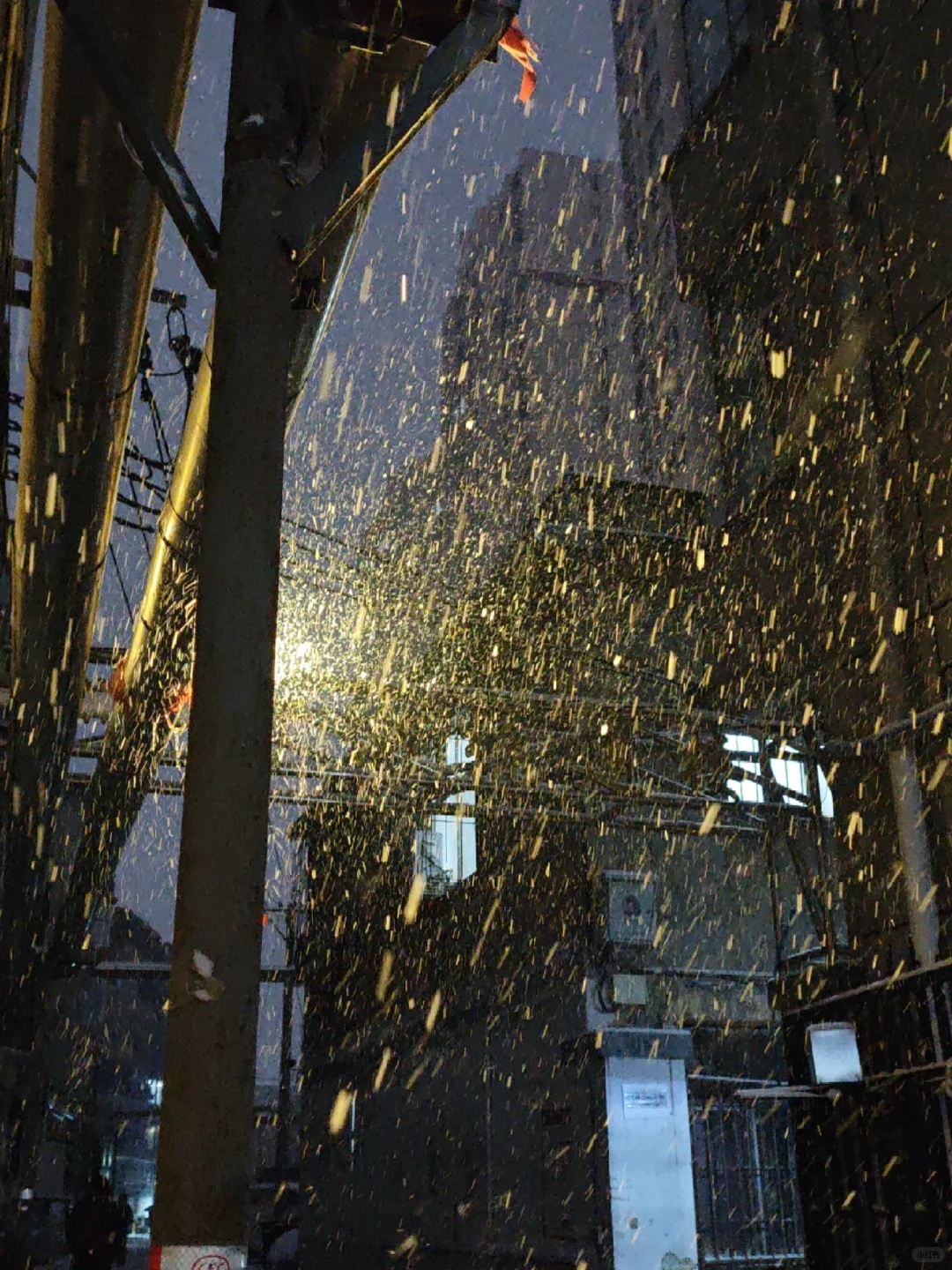 看看你拍的初雪