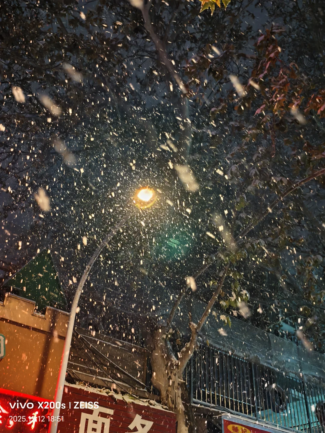 安阳 你居然下这么大雪