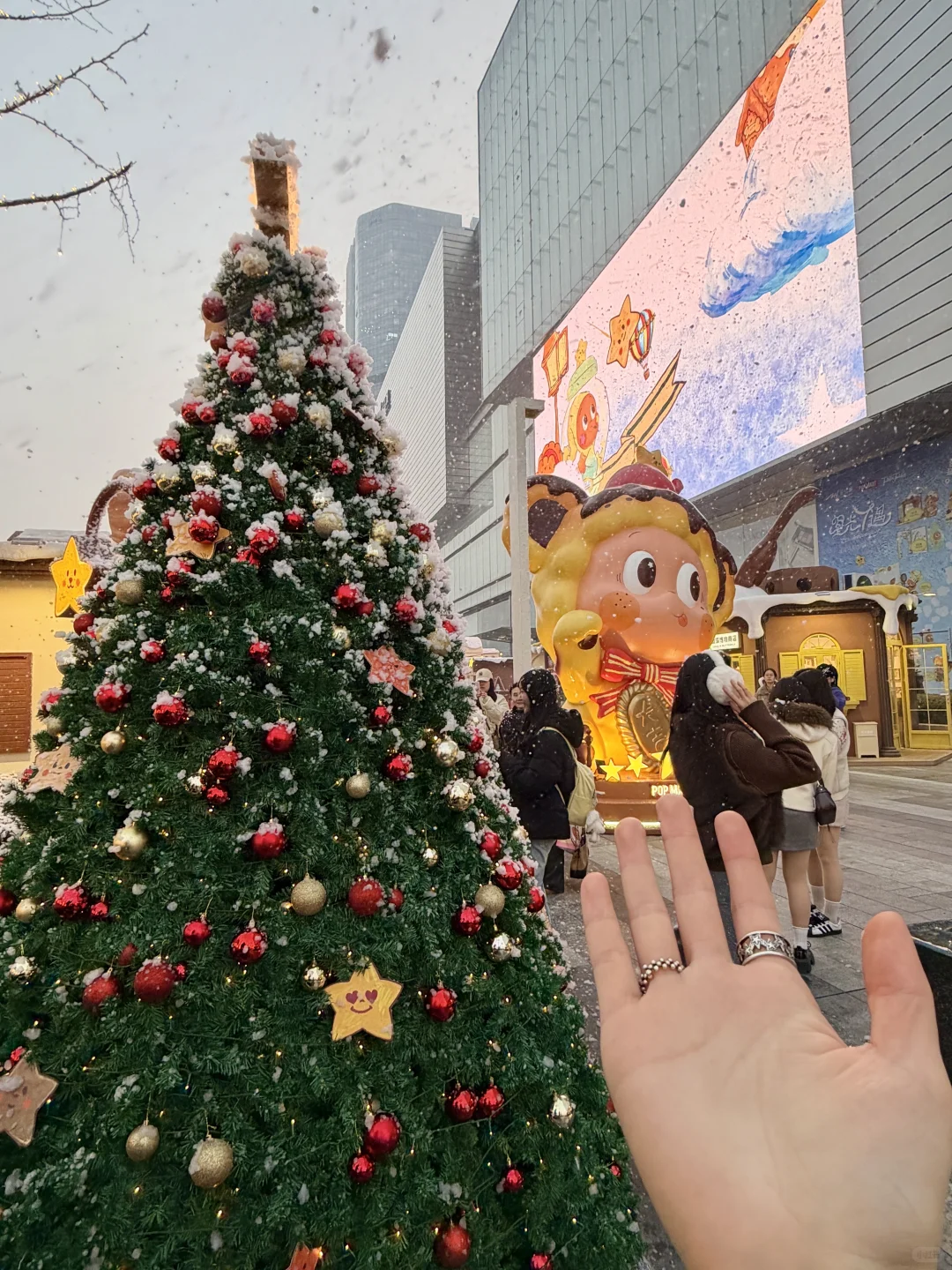 12.19实况！！！正弘城星愿小镇飘雪啦❄️！！！！！！