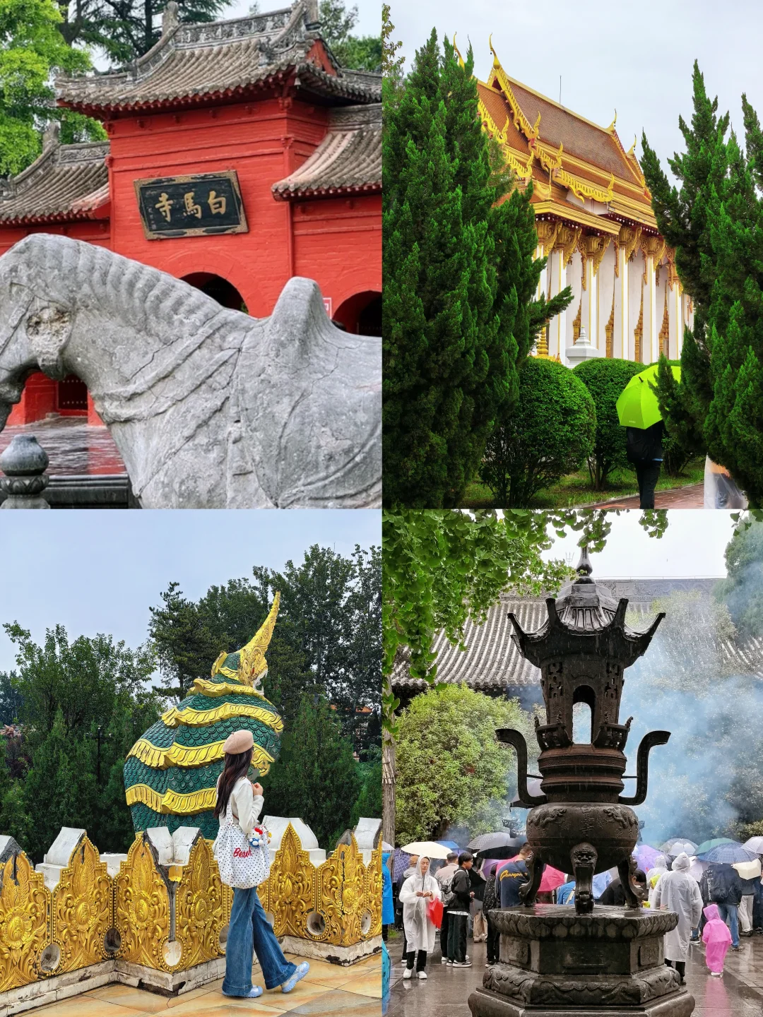 第一次来河南！带你吃透郑汴洛，省心哭😭