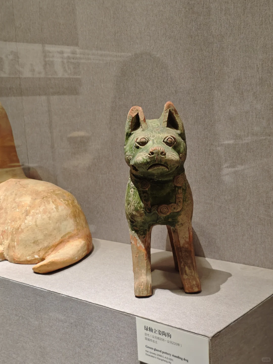 😭河南博物院来了，网红小狗呢？🐕