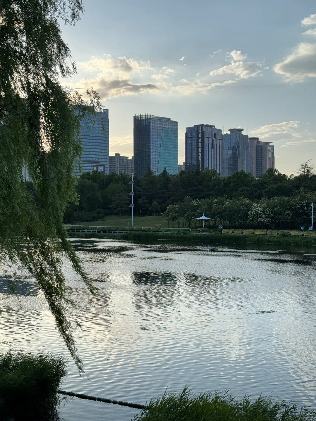 郑州不愧是北方第一省会，城市环境太治愈了！