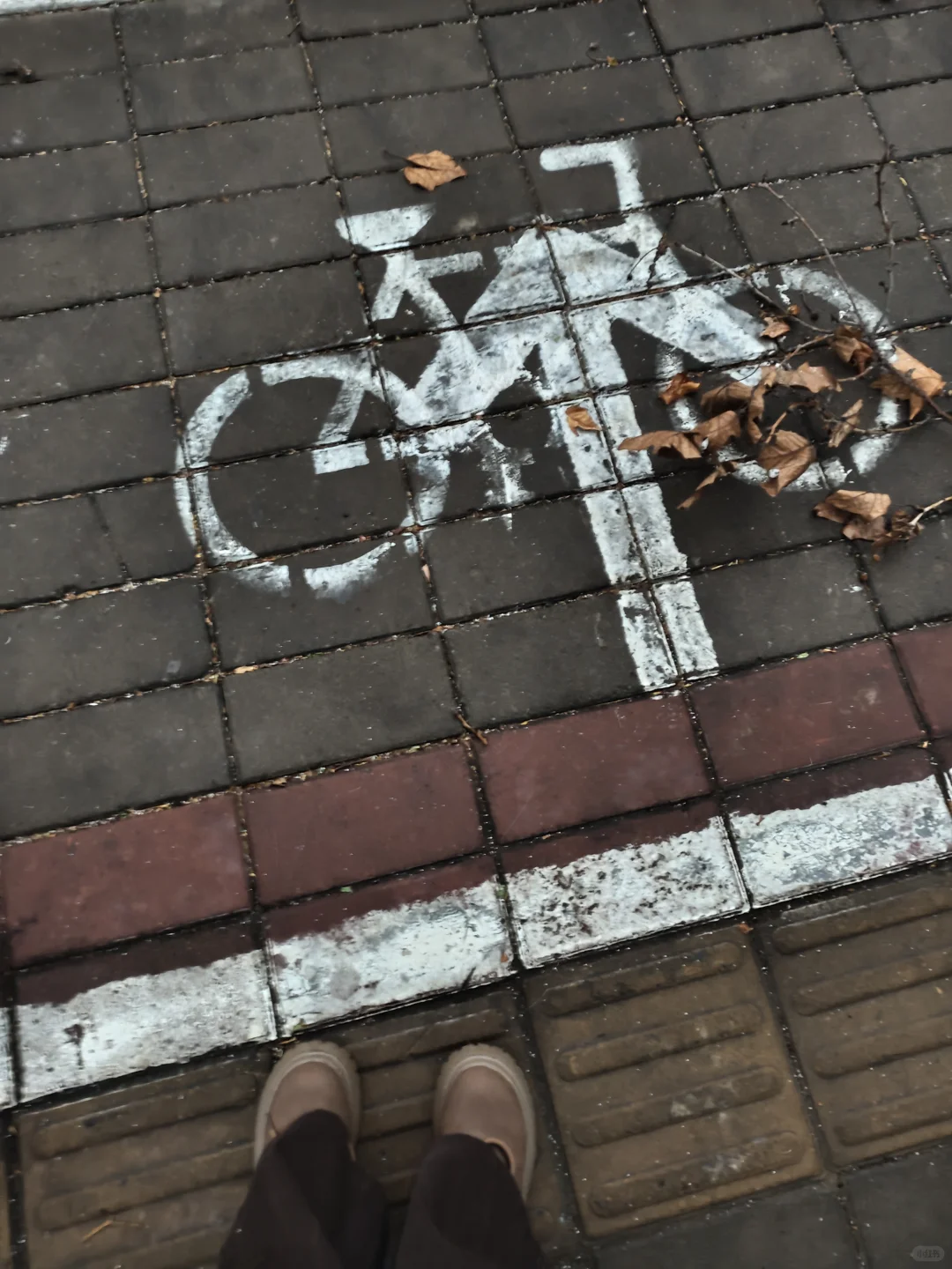 或许我会一直留在郑州