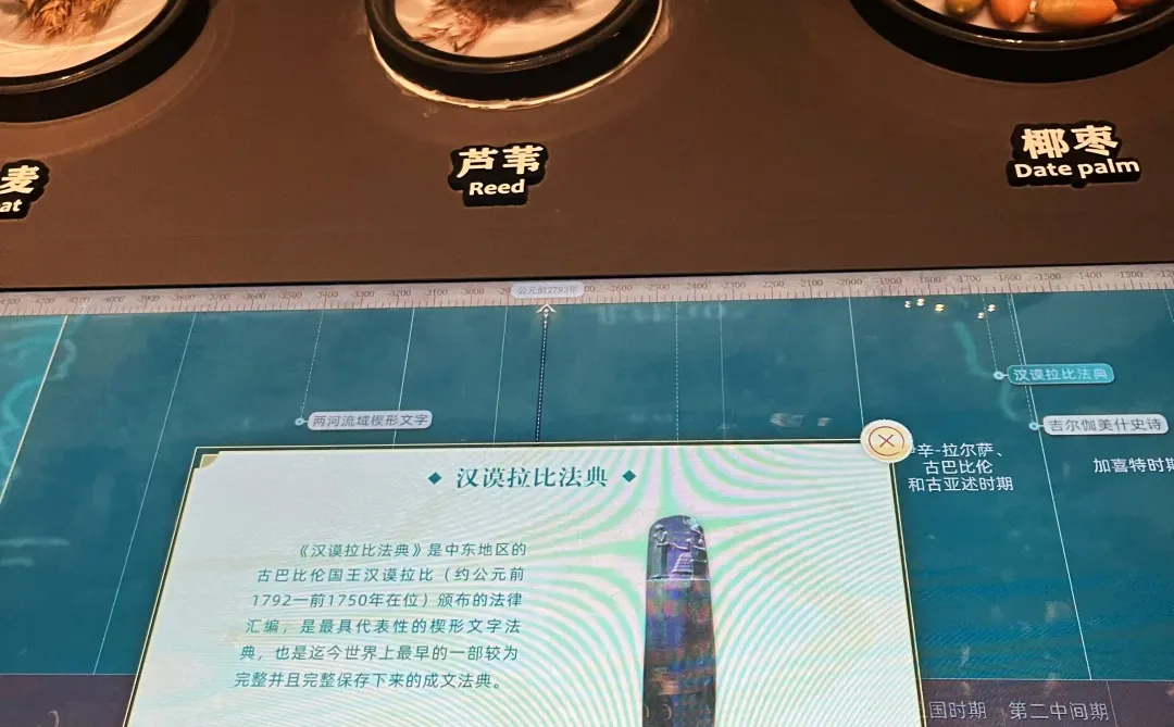 🏺郑州遛娃天花板！娃玩疯还涨知识！