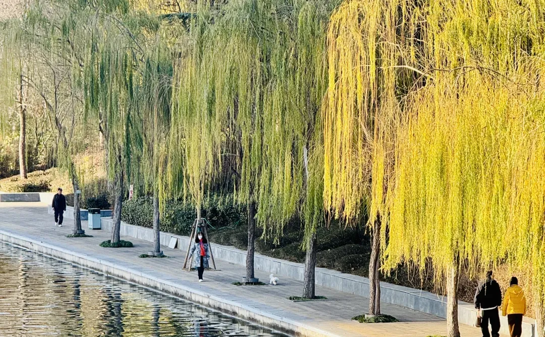 郑州不愧是新一线城市，城市建设超震撼！！