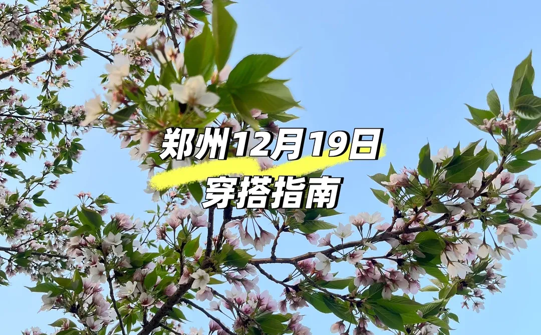 郑州明日穿搭｜2-17℃温差拿捏！