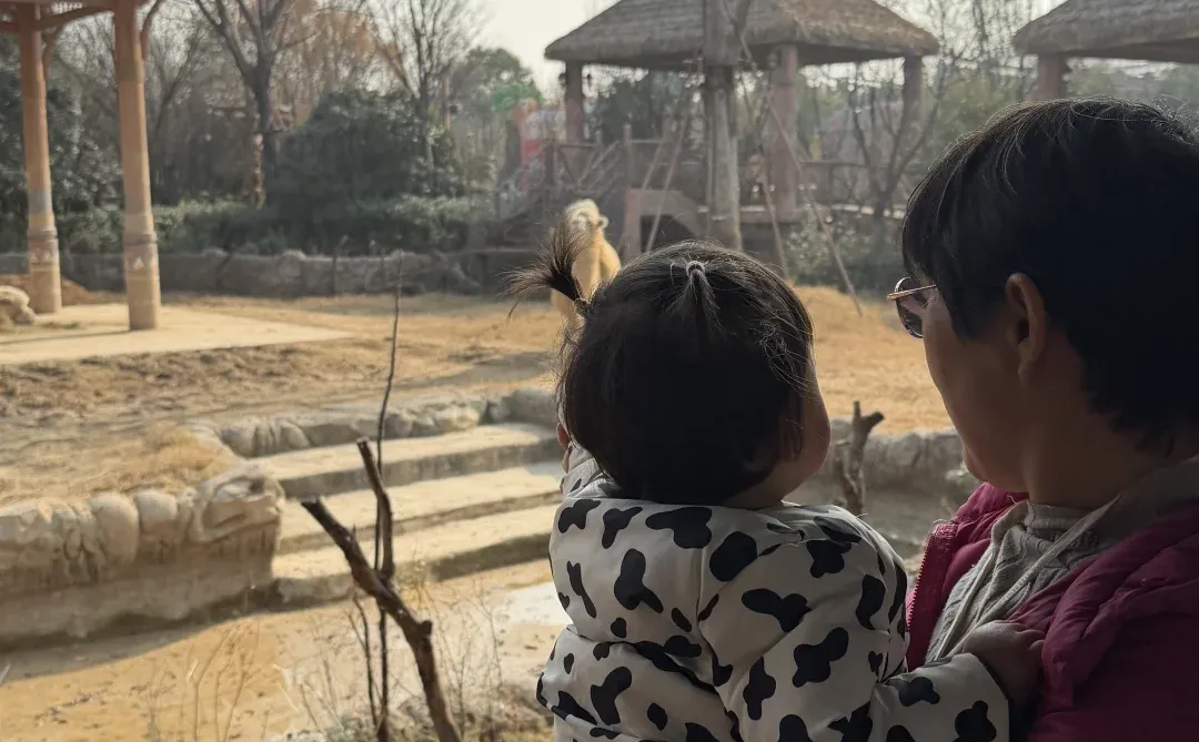 淡季带娃逛银基动物园真的太爽啦！