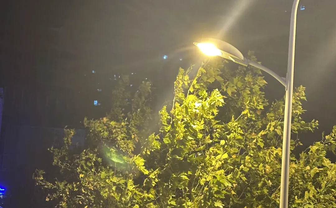 凌晨五点的郑州