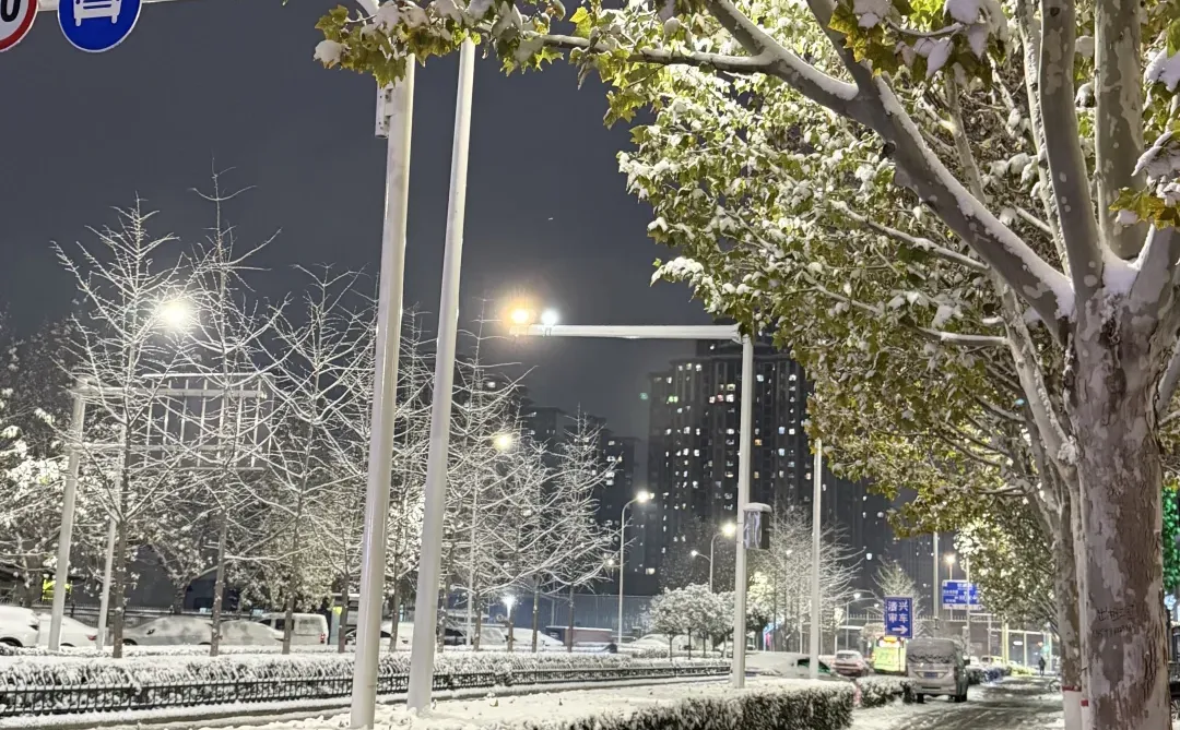 下雪后的郑州确实更浪漫一些！