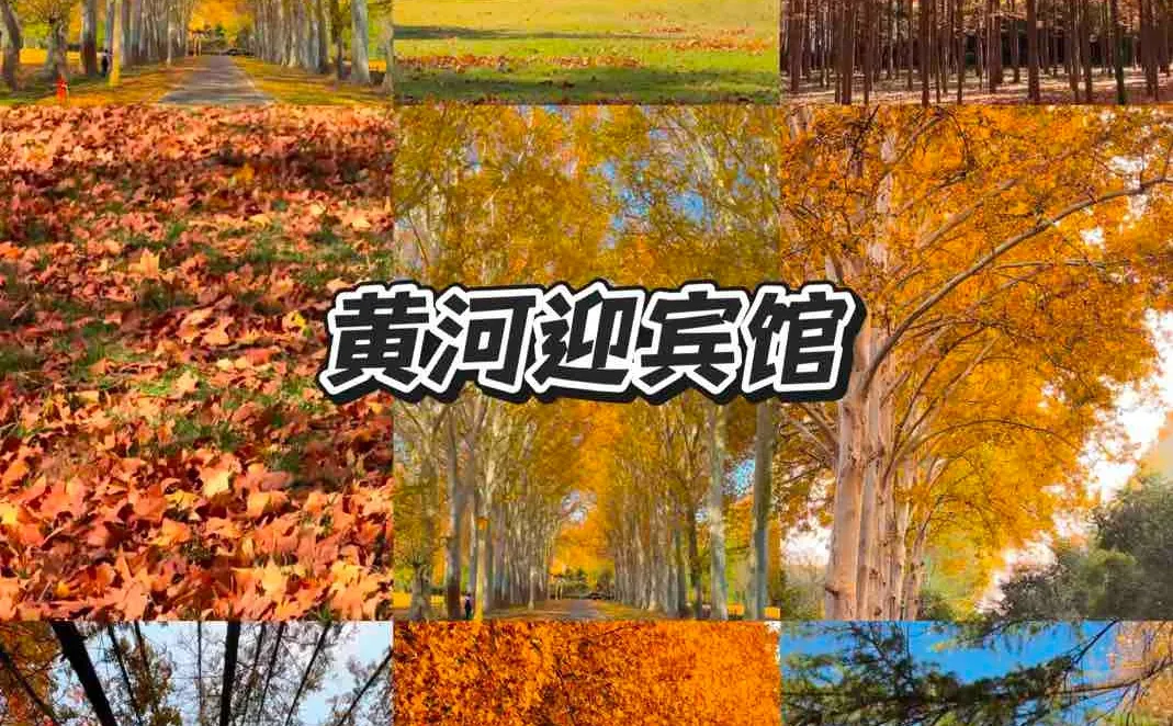 没来过这9个地方⁉️等于白来郑州了‼️🔥