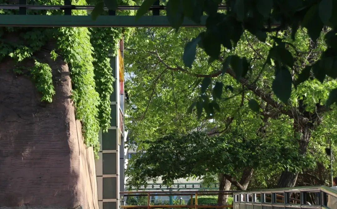 郑州人民公园！下一个顶流打卡机位来了