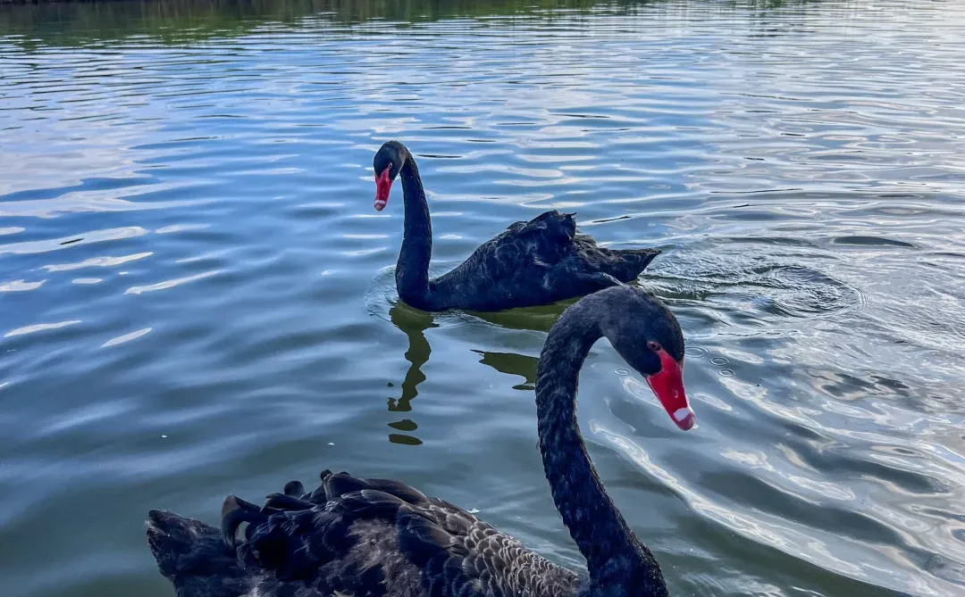 一秒穿越回千年，我心中郑州最美的古建！