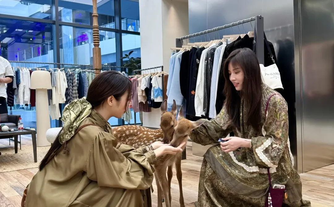 郑东万象城买手店｜来偶遇超可爱的小鹿吧🦌