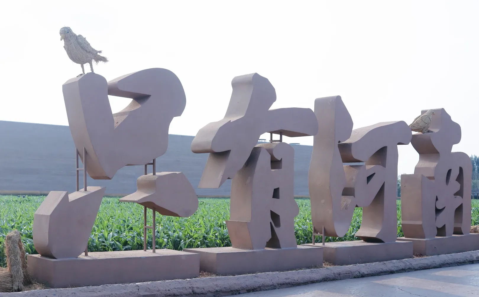 河南你也太低调了吧？！