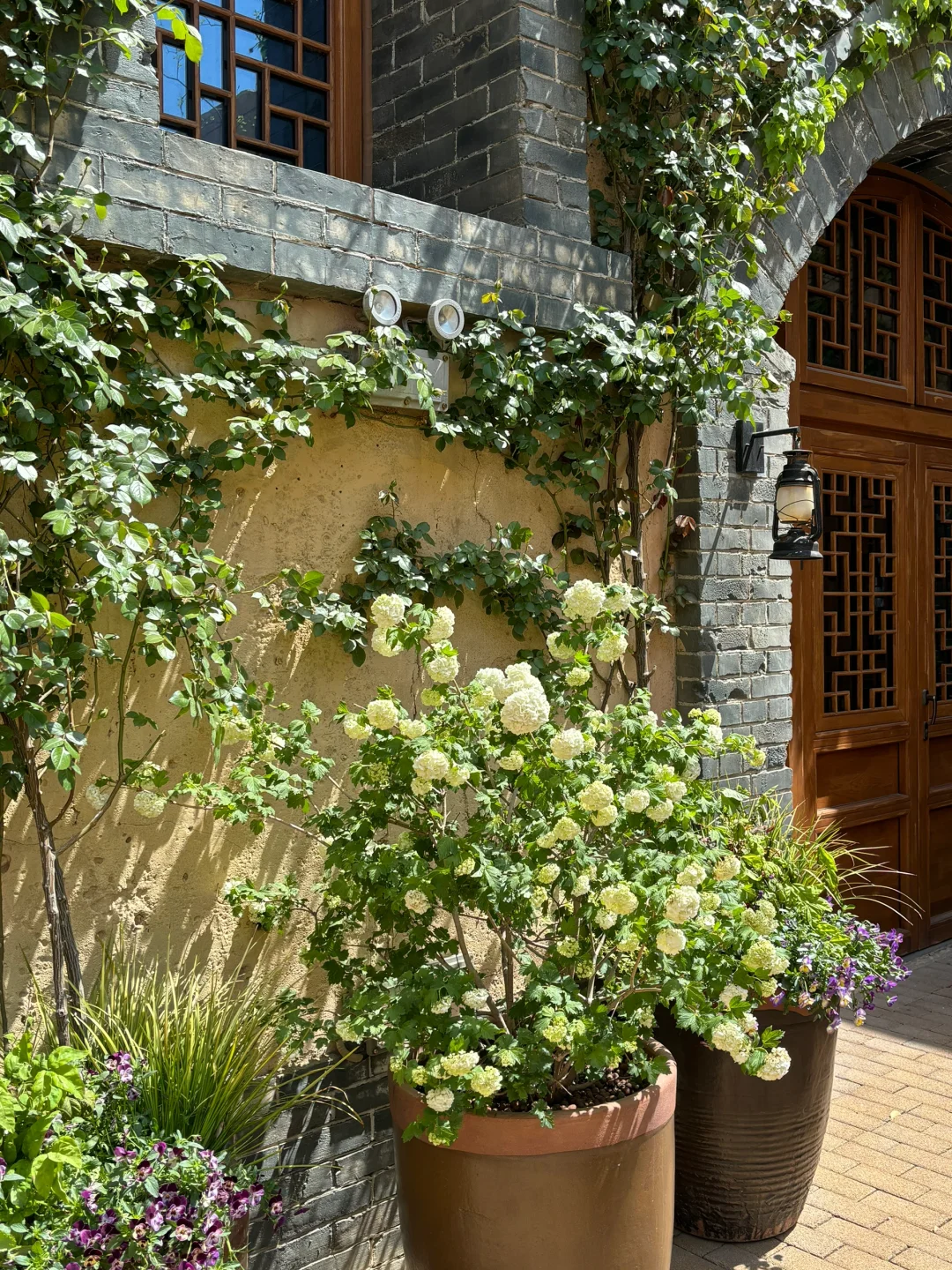 关于郑州我想的全是你～