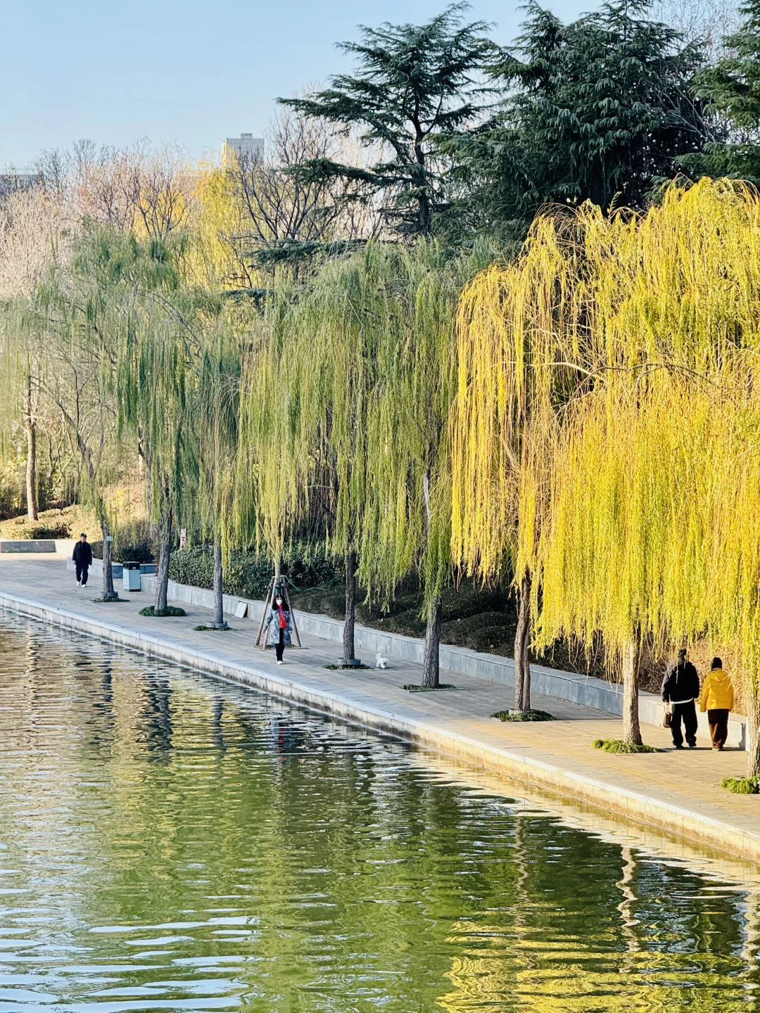 郑州不愧是新一线城市，城市建设超震撼！！
