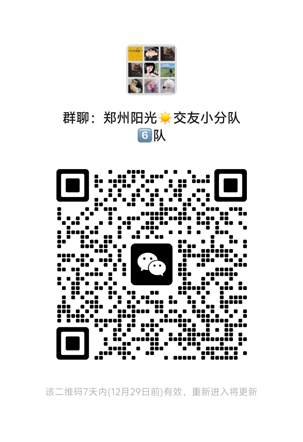 郑州群，聊天摸鱼 找搭子 有聚会