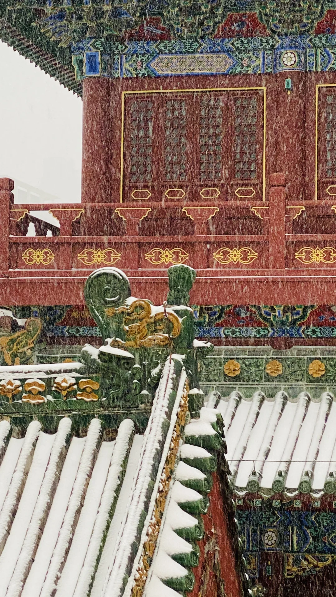 卧槽，暴雪里的郑州杀疯了，古建与雪花同框❗