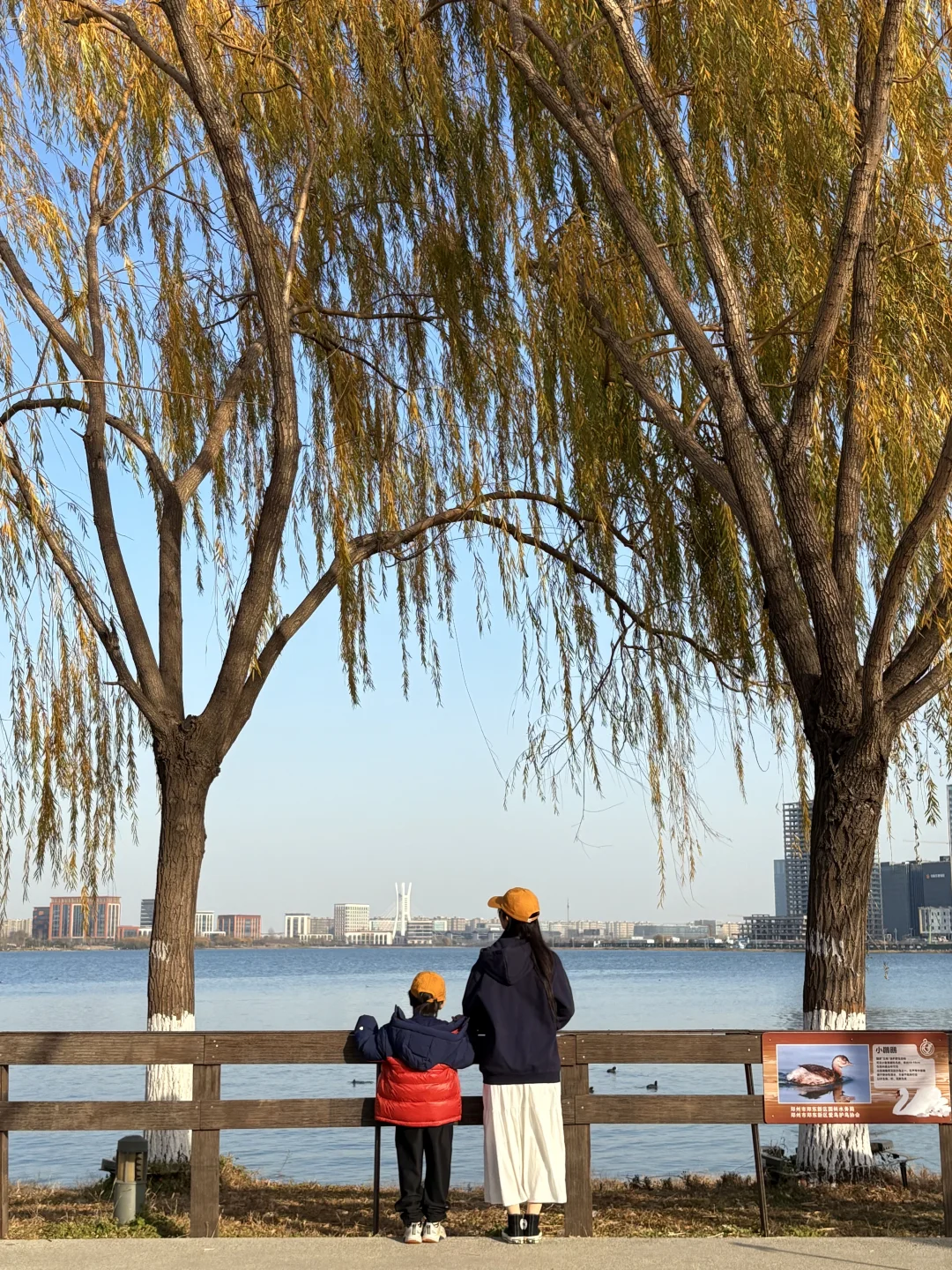 谁懂啊❗️郑州冬天的浪漫是天鹅给的！附攻略