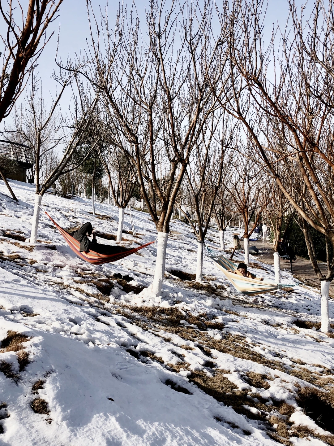 关于郑州的记忆，第一次来就遇到鹅毛大雪。