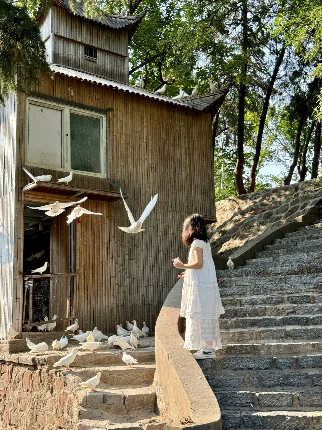 国庆郑州3日游｜本地人私藏攻略，避开人潮冲！