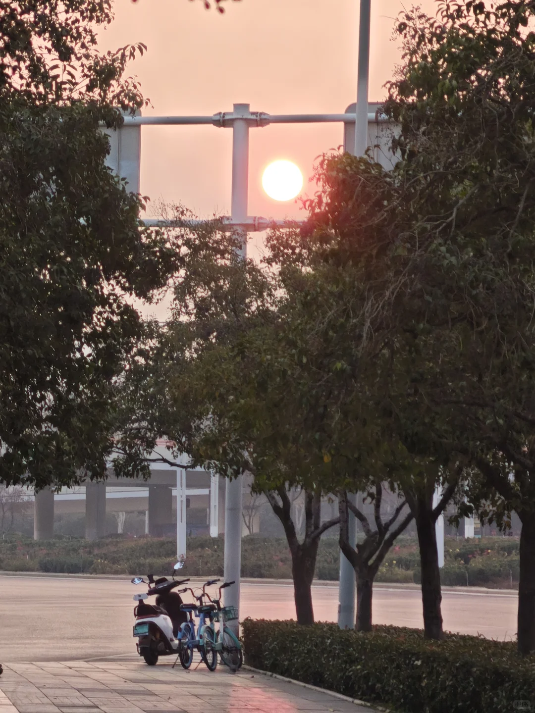 或许我会一直留在郑州