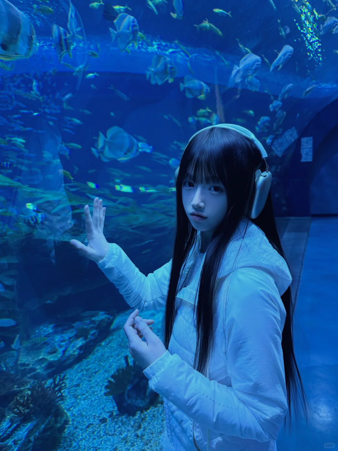 🍈我的冬天正式开始