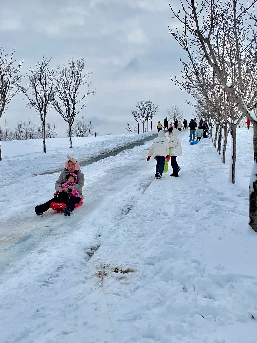 北方娃的DNA动了！不出郑州玩雪❄️好去处！
