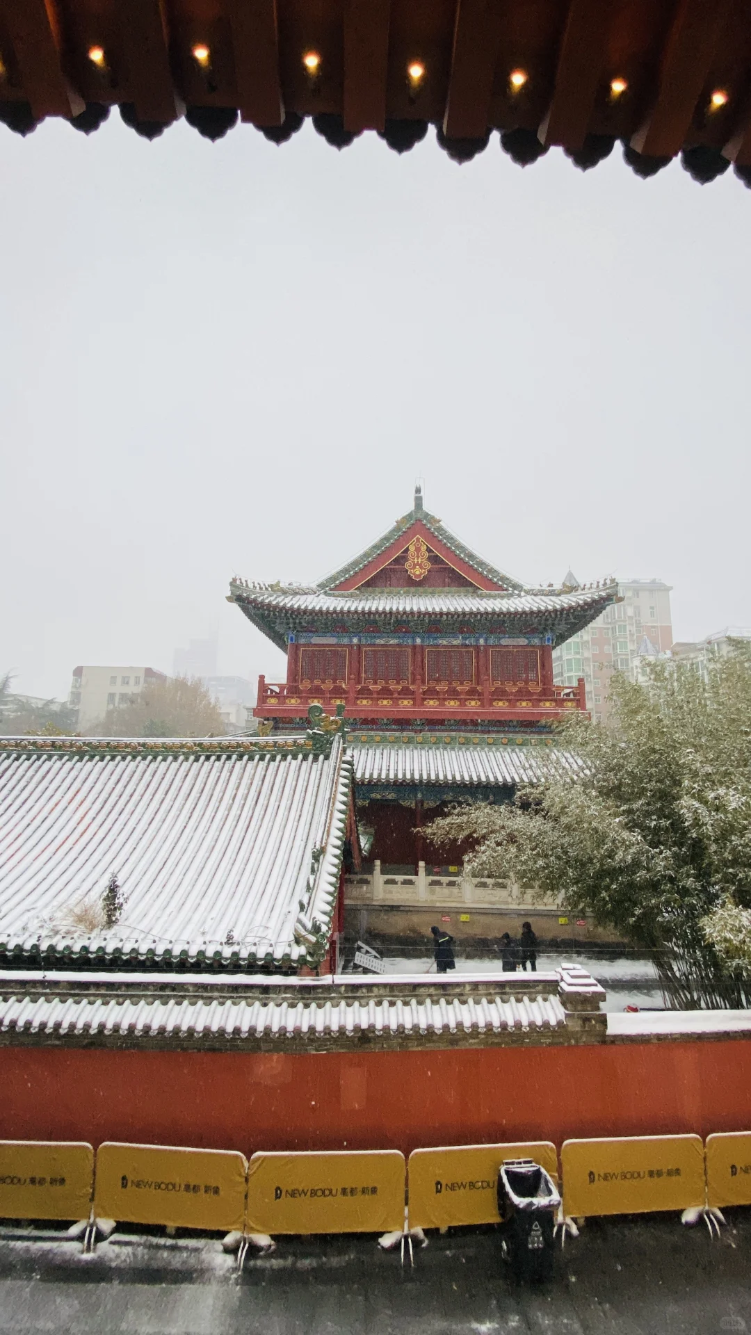 卧槽，暴雪里的郑州杀疯了，古建与雪花同框❗