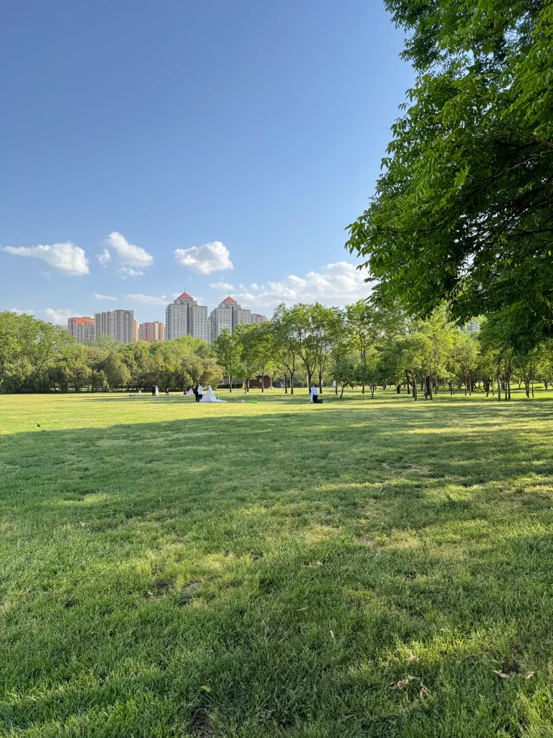 郑州不愧是北方第一省会，城市环境太治愈了！