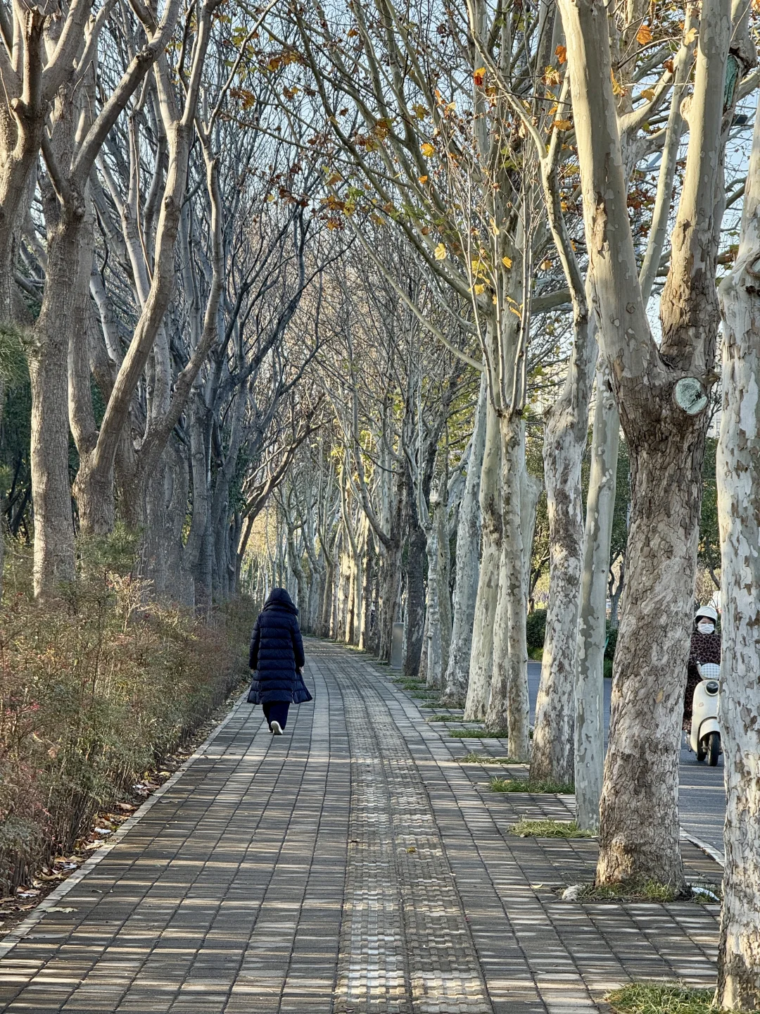 郑州不愧是新一线城市，城市建设超震撼！！