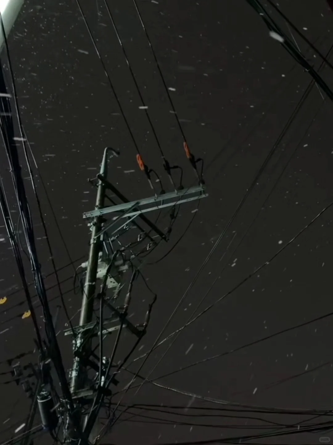 2025.12.12星期五河南郑州初雪🌨️来咯